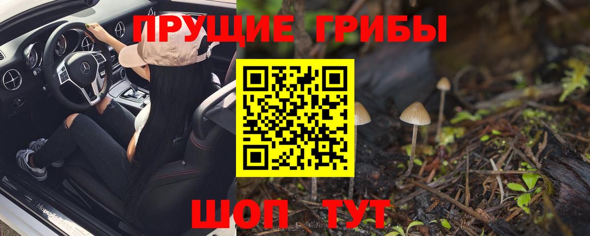 Шелехов  Псилоцибиновые грибы мухоморы  Вход с VPN 